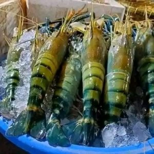 ৫ কেজি গলদা চিংড়ি